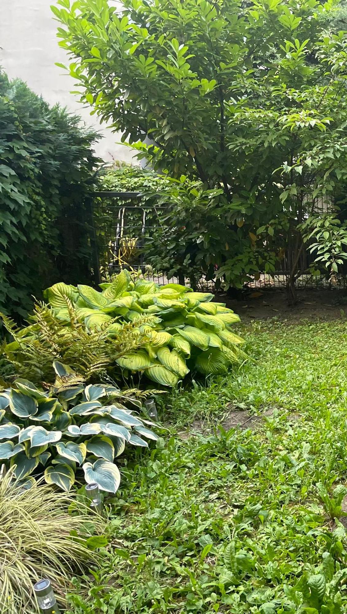 Apartment Mit Logia Und Kleinen Garten In Zentraler Lage 2 Wien Eksteriør billede